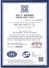 QUALITY MANAGEMENT SYSTEM CERTIFICATE certificate of Hebei Tomato Industry Co., Ltd. – certificate photo, supplier certificates section