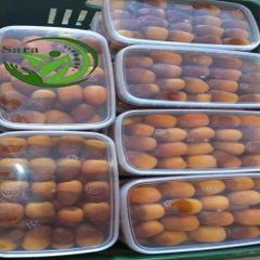 Frozen Dates - Image 1