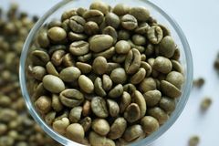 Arabica Coffee (Green Bean Coffee) Type Coffee Bean Weight (kg) 100 g Cultivation Type - Image 3