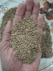 Cumin Seeds Whole - Image 2