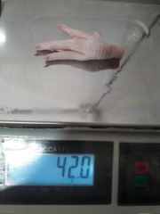 Frozen Chicken Feet Paws - Brazilian Origin For Sale - Image 3