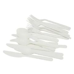 Compostable Heavyweight Disposable Cpla Spoons Eco Friendly Compostable Spoons - Image 3