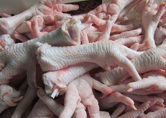 Chicken Feet frozenchickenexports.com – product photo 5, product detail gallery