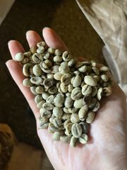 Vietnam Robusta Green Coffee Beans - High Quality Robusta Coffee good price by Vietnam WhatsApp +84 354987203 (Ms.Mie) – product photo 5, product detail gallery
