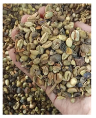 Greenbean Robusta Pixel – product photo 1, product detail gallery