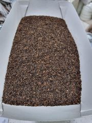 Black Tea - Image 3