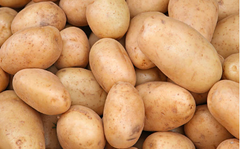Premium White Potato – product photo 2, product detail gallery