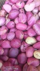 Kola Nuts Origin Cameroon Ash Content 2.5 % Hs Code 0802.90.00 Fats Content 1 – 2 % Protein Content 2 – 4 % Size 3–6 Cm In Diameter - Image 2
