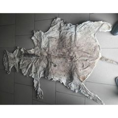 Wet Salted Donkey Hide Premium Preserved Raw Donkey Hide for Leather Processing. - Image 4