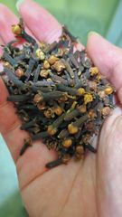 Whole Clove - Image 3