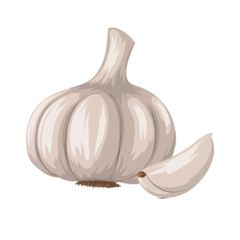 Wholesale Top Quality Fresh Peeled Garlic In Cheap Price - Image 2