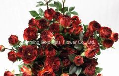 Fresh Cut Flower Rose Chocolates Rose for Best Decoration - Image 6