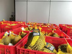 IQF Monthong/Ri6 Durian Year-around Season Seed Or Seedless Organic Whole Shape Vacuum Pack Frozen Durian from Vietnam - Image 5