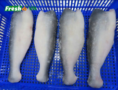 Pangasius HGT - Image 2