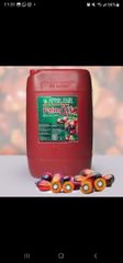 Export-Ready Nigerian Unrefined Red Palm Oil – 25-Litre Jerrycan – product photo 2, product detail gallery