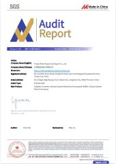 Audit Report from SGS certificate from Tianjin Ruihe Import and Export Co., Ltd.