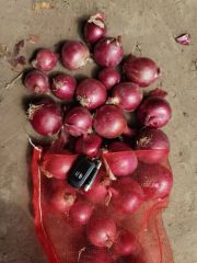 Fresh Small Size Red Onion with Best Quality Color Red Type Fresh Origin China Shape Oval,Flat Trademark Manhing HS Code 0703101000 - Image 6