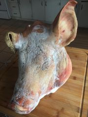 Wholesale Bulk Frozen Pork Head Supplier - Image 2