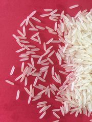 1121 White Sella – product photo 3, product detail gallery