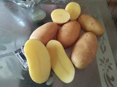 Mozika Potato Organic Yes Flesh Texture Firm Flesh Color Yellow Skin Texture Smooth Freshness Level Fresh Storage Stability Good - Image 1