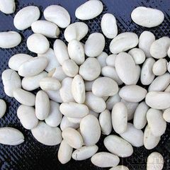 White Beans, White Kidney Beans, New Crop White Beans – product photo 1, product detail gallery