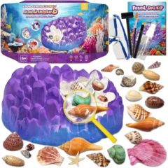 Wholesale Ocean Fossil Kit Science Educational Fossil Collection Gift Dig Kits Toys - Image 1