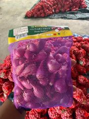Fresh Shallot Grade A Flavor Rich Texture Firm Port HO Chi Minh Aroma Exceptional Freshness Exceptional Packaging net bag 500gr - Image 4