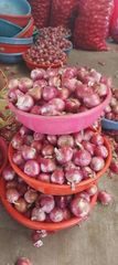 Red onion – product photo 1, product detail gallery