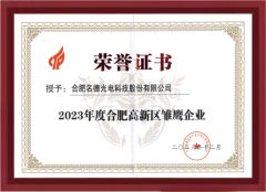 Young eagle Enterprise in Hefei High-tech Zone certificate from Hefei Mingde Optoelectronic Technology Co.,Ltd