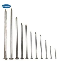 Galvanized Common Wire Nails Smooth Shank Type Round Flat Head Nails - Image 6