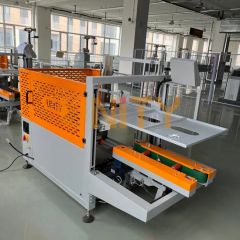 Fully Automatic Rotary Arm Wrapper Mechanical with Plastic Packaging Machinery Wrapping - Image 2