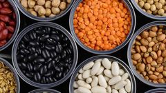 Iranian Mixed Legumes in Bulk – 1 MT MOQ | Premium Pulses from Lorestan – product photo 2, product detail gallery