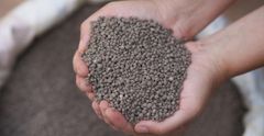 100% High quality DAP (Diammonium Phosphate) Nutrient Uptake Efficiency Rapid And Efficient Crop Applications Cereals, Vegetables, And Fruit Trees - Image 1