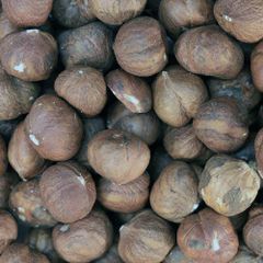 Wholesale Natural Hazelnuts Premium Bulk Supply Fresh Roasted Snack Healthy Delicious and Nutritious for Export - Image 2