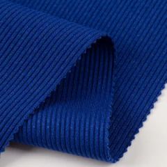 Competitive Price Knitted 95% Polyester 2*2 Coolmax Texture Rib Fabric for Dresses Underwear - Fujian Suifu Textile Co., Ltd.