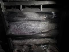 Frozen Oilfish hgt - Image 1
