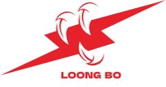 Haiyan Long Bo Dc Motor Co., Ltd