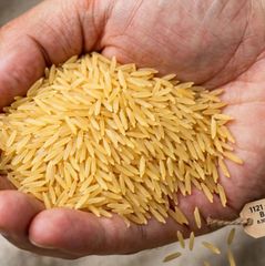 1121 Golden Sella Basmati Rice Premium 8.30mm+ Extra Long Grain Pakistan – product photo 2, product detail gallery