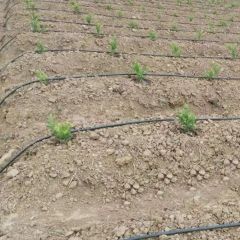 Watering Irrigation Pipe Farm System - Image 6