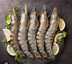 Black tiger shrimps - Image 2