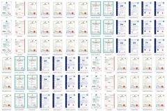 Company strength certificate of Shandong Yueguang Mechanical Equipment Co., Ltd. – certificate photo, supplier certificates section