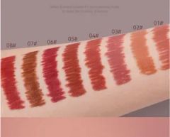 Matte Lipstick Lip Liner Everyday Nude Makeup Form Pencil Origin China Model NO. T1 Type Lipstick Trademark Non Specification - Image 4