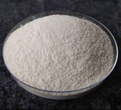 80-85% DDA CHITOSAN POWDER - Image 1