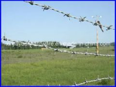 Galvanized Barbed Wire Razor Barbed Wire Fence Iron Barbed Wire - Image 4