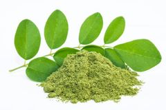 MORINGA POWDER – product photo 2, product detail gallery