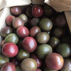Supply Vietnam Fresh Passion fruit for US, EU, ASIA BEST PRICE Yellow Passion Fruits Wholesale - Image 5