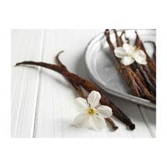 wholesale best Price black Vanilla Beans / Madagascar Vanilla - Image 2