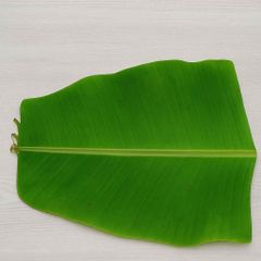 Fresh Green Banana Leaves from India - Image 2