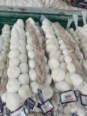 China New Big Size Braid Fresh Pure White Garlic Style Whole Origin China HS Code 070320 Type Pure White Trademark Green - Image 3