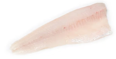 Wholesale Pike perch fillet with skin - Image 1